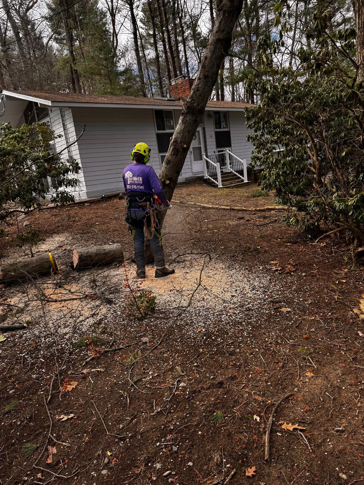 Residential tree care